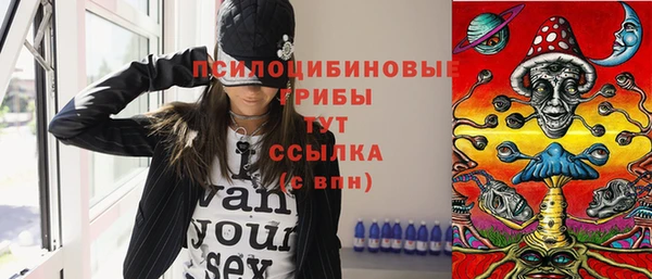 ГАЛЛЮЦИНОГЕННЫЕ ГРИБЫ Богородск