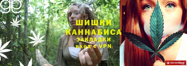 PSILOCYBIN Богородицк