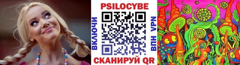 купить   Ядрин  Галлюциногенные грибы Psilocybine cubensis 